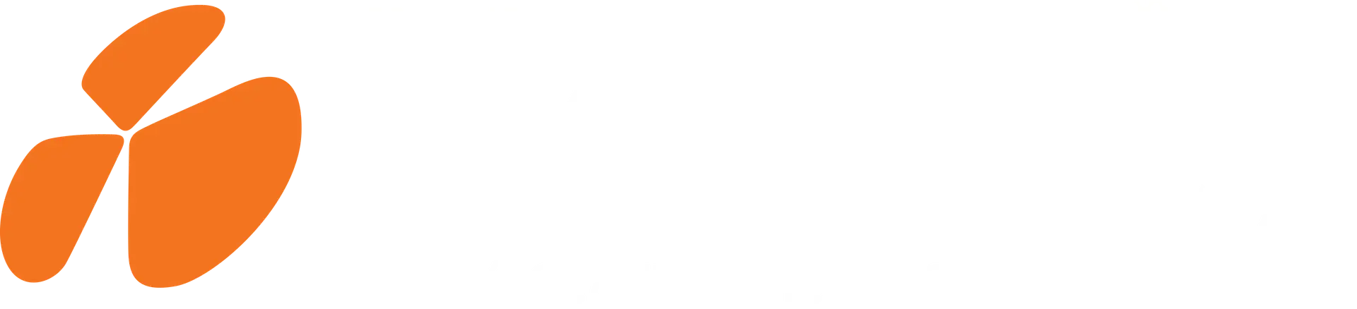 Nemely Site Logo